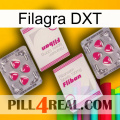 Filagra DXT 33